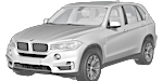 BMW F15 C2176 Fault Code